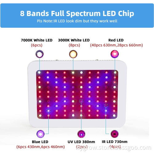 600W Grow Light Red Blue Lighting